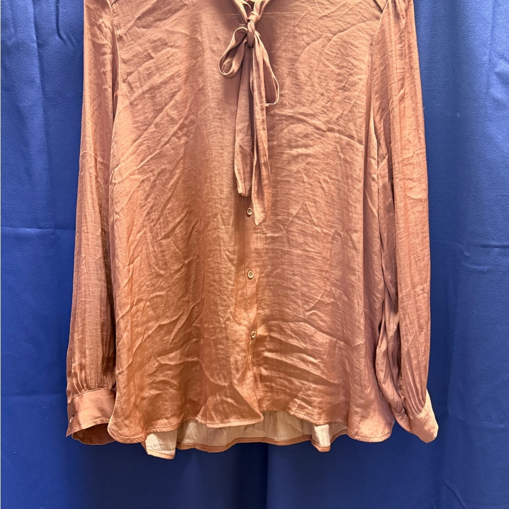 Simply Vera Vera Wang Tie Neck Blouse XL Terracotta Satin Rust Brown Oeko-Tex